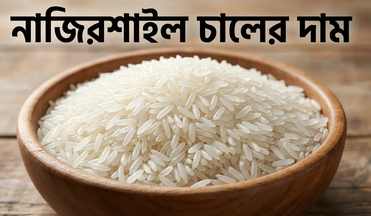 আজকের নাজিরশাইল চালের দাম কত ২০২৬